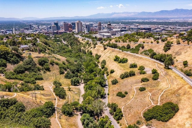 369 E 9th Ave, Salt Lake City, UT 84103 - drone / aerial view of mountains
