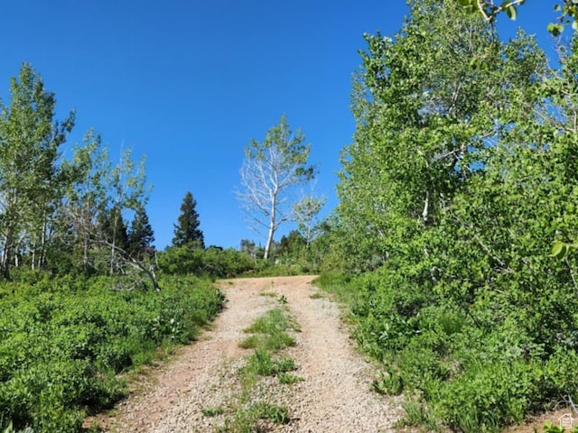 10744 E Jedidiah Smith Dr Unit H225, Huntsville, UT 84317 - photo 21