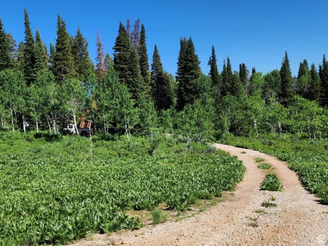 10744 E Jedidiah Smith Dr Unit H225, Huntsville, UT 84317 - photo 24