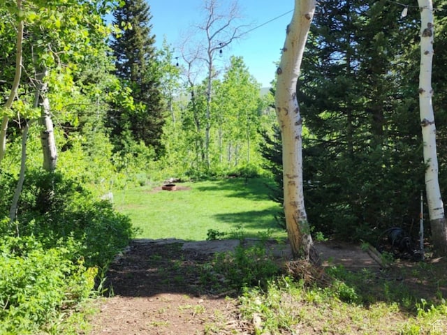 10744 E Jedidiah Smith Dr Unit H225, Huntsville, UT 84317 - photo 25