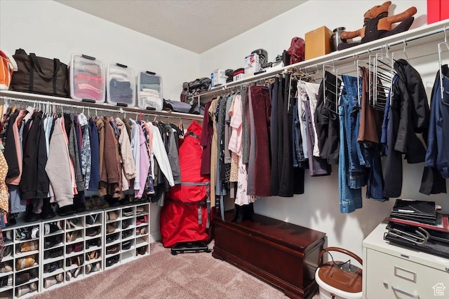 2892 W 2500 N, Clinton, UT 84015 - spacious closet with carpet flooring