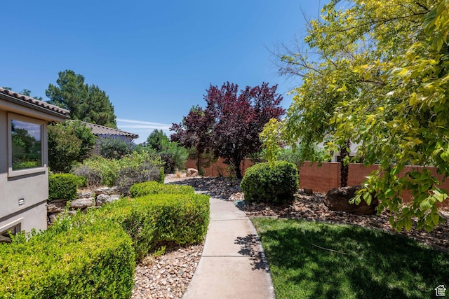 1285 Summerwood Cir, Santa Clara, UT 84765 - view of yard