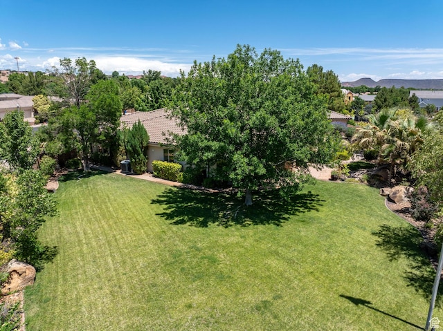 1285 Summerwood Cir, Santa Clara, UT 84765 - view of grassy yard