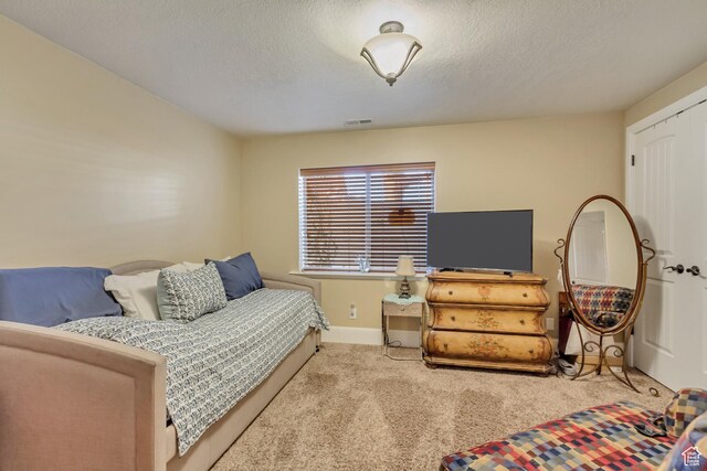 338 S Holdaway Rd, Vineyard, UT 84059 - living room with carpet and a textured ceiling