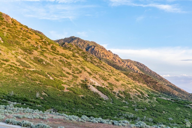 1621 E Box Elder Cir, Alpine, UT 84004 - view of mountain background