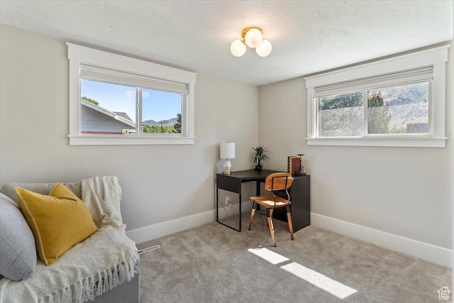 1393 E Davis Ave, Logan, UT 84321 - sitting room featuring plenty of natural light and carpet flooring