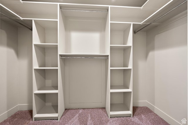 9096 N Canyon Rd, Cedar Hills, UT 84062 - walk in closet featuring carpet flooring