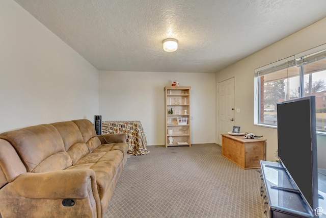 41 S 200 E, Santaquin, UT 84655 - carpeted living area with a textured ceiling