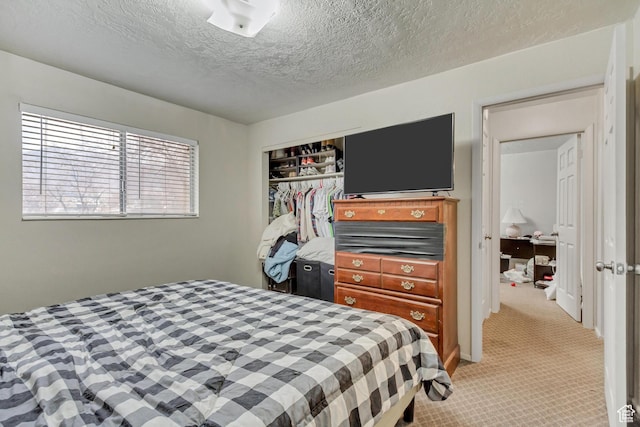 41 S 200 E, Santaquin, UT 84655 - bedroom featuring light carpet, a textured ceiling, and a closet