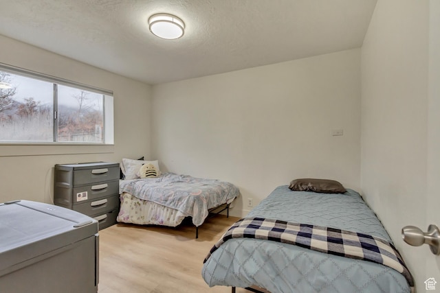 41 S 200 E, Santaquin, UT 84655 - bedroom featuring light wood-style flooring