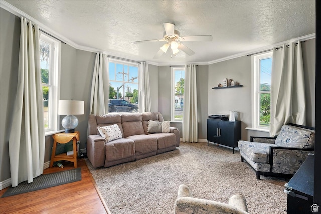302 S 100 E, Logan, UT 84321 - living area with a ceiling fan, a textured ceiling, crown molding, healthy amount of natural light, and wood finished floors
