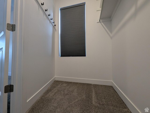 5427 W Ranches Loop Dr Unit 129, West Jordan, UT 84081 - spacious closet with dark carpet
