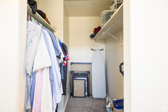 357 E 535 S, Vernal, UT 84078 - spacious closet with carpet flooring