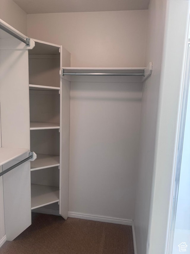 1730 N 350 W, North Ogden, UT 84414 - spacious closet with dark colored carpet