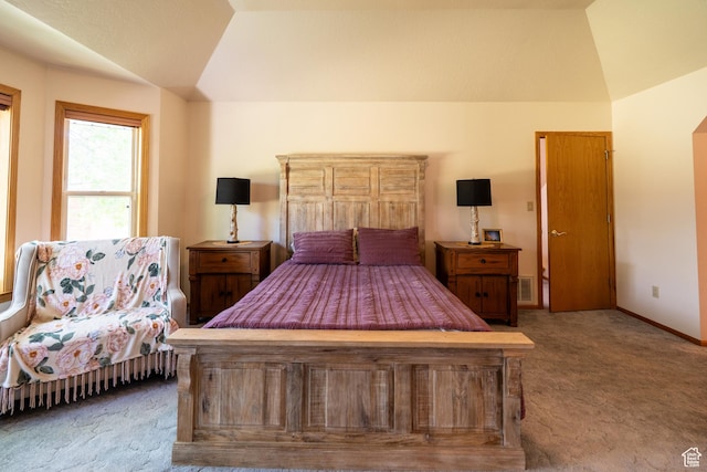 4163 S Beeman Rd, Moab, UT 84532 - bedroom with carpet floors and vaulted ceiling