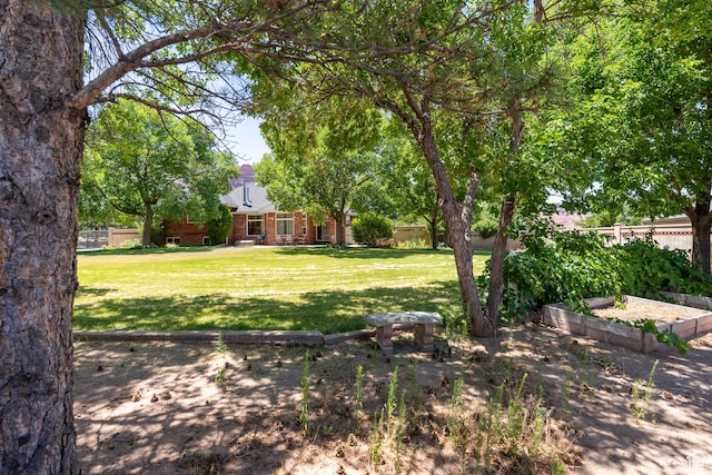 4163 S Beeman Rd, Moab, UT 84532 - view of yard with a garden