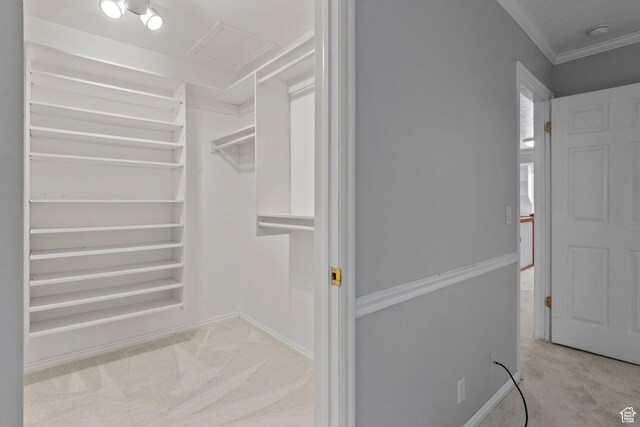 1870 E Monterey Dr, Salt Lake City, UT 84121 - walk in closet featuring carpet floors and attic access