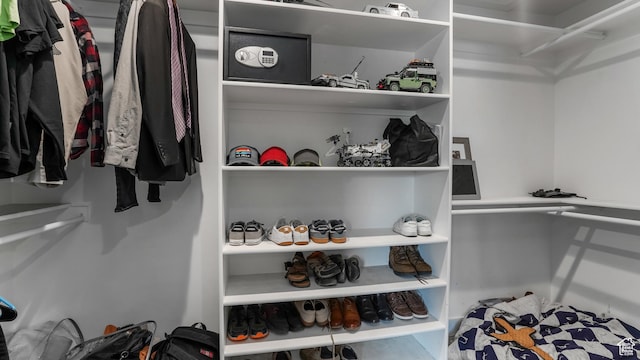 2550 W Lolene Cir, Taylorsville, UT 84129 - view of walk in closet