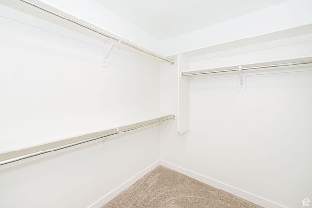 425 W Domain Ln, Grantsville, UT 84029 - walk in closet featuring light carpet