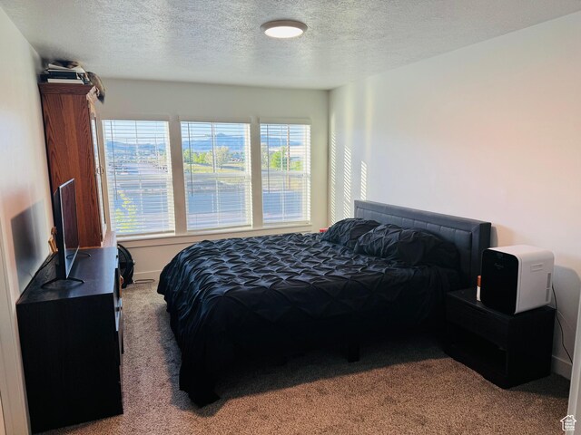 925 W 1000 N, Tremonton, UT 84337 - photo 11