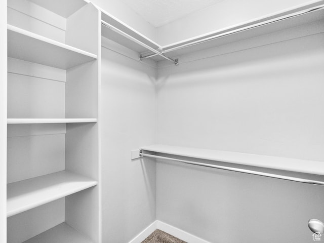 517 E 1140 S, Roosevelt, UT 84066 - view of walk in closet