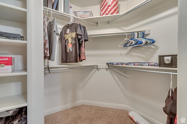 496 W 350 S Unit C, Springville, UT 84663 - photo 21