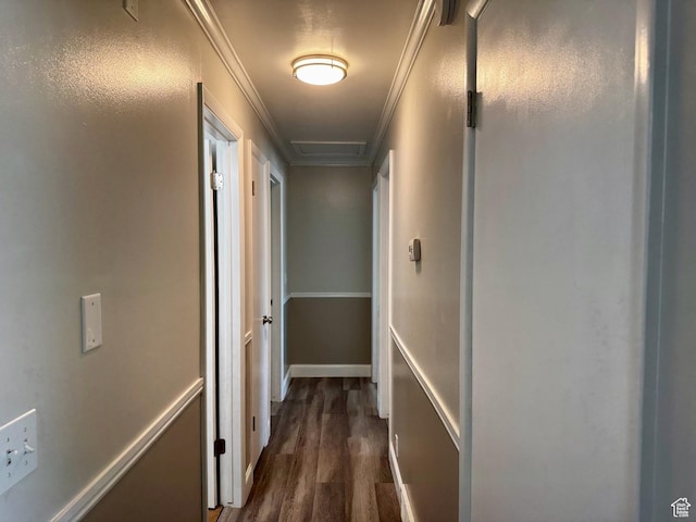 7026 S Wood Green Rd, West Jordan, UT 84084 - hall with dark wood-style flooring and ornamental molding