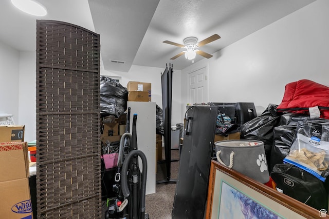 10314 S 3970 W, South Jordan, UT 84009 - storage featuring a ceiling fan