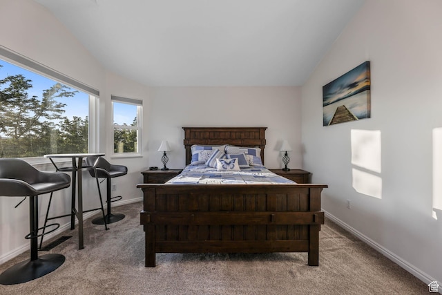 10314 S 3970 W, South Jordan, UT 84009 - bedroom featuring carpet floors and vaulted ceiling