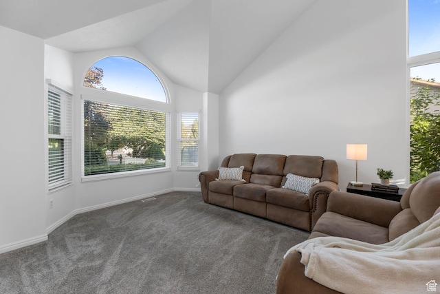 10314 S 3970 W, South Jordan, UT 84009 - living room with plenty of natural light, carpet flooring, and vaulted ceiling