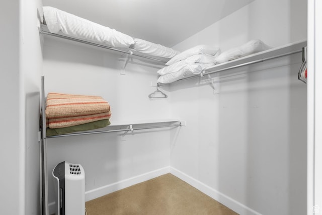 6785 N 2200 W Unit 207, Park City, UT 84098 - walk in closet with carpet