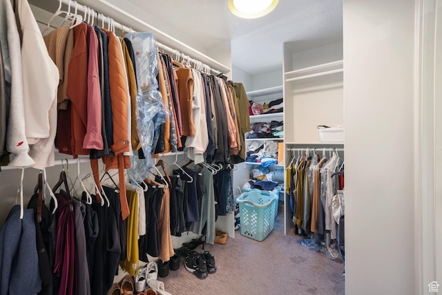 2500 E Simpson Ave S, Salt Lake City, UT 84109 - spacious closet featuring carpet