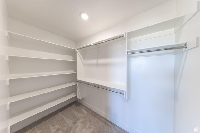 2864 N 3475 W, Plain City, UT 84404 - spacious closet featuring carpet flooring