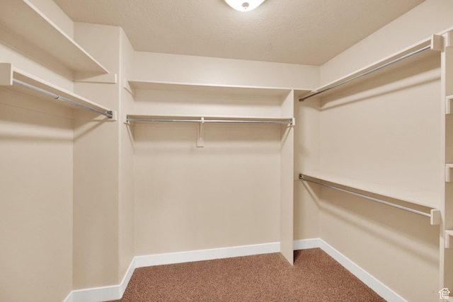 356 Warley Way, Stansbury Park, UT 84074 - walk in closet featuring carpet floors