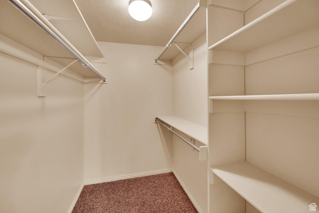 356 Warley Way, Stansbury Park, UT 84074 - spacious closet with carpet