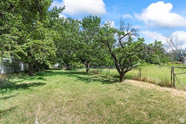 220 S Coleman St W, Tooele, UT 84074 - view of yard
