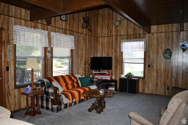 202 N 1050 E, Fremont, UT 84747 - photo 5