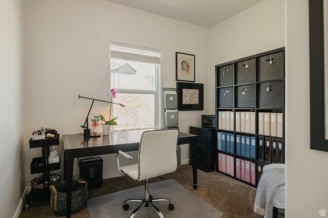 480 Firestone Dr, Santaquin, UT 84655 - carpeted office with baseboards