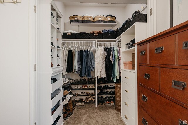 480 Firestone Dr, Santaquin, UT 84655 - walk in closet featuring light colored carpet