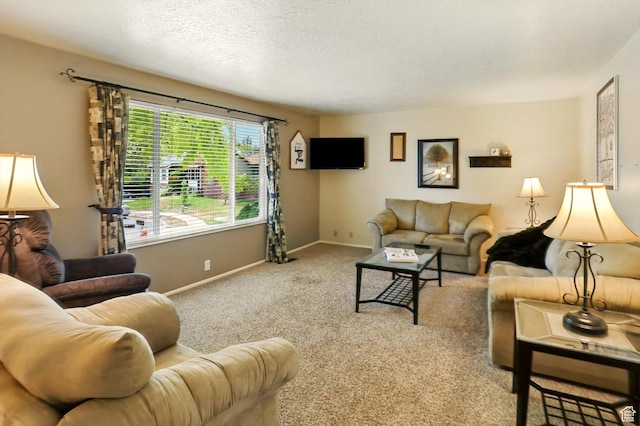 167 E 950 S, Layton, UT 84041 - living room featuring carpet and a textured ceiling