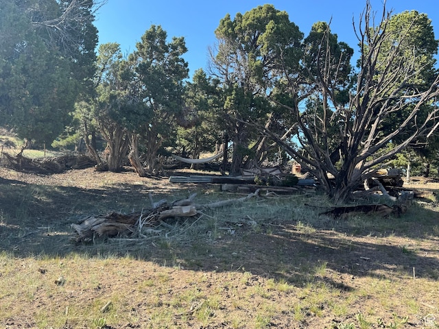 46205 W Little Elk Rd, Fruitland, UT 84027 - view of undeveloped land