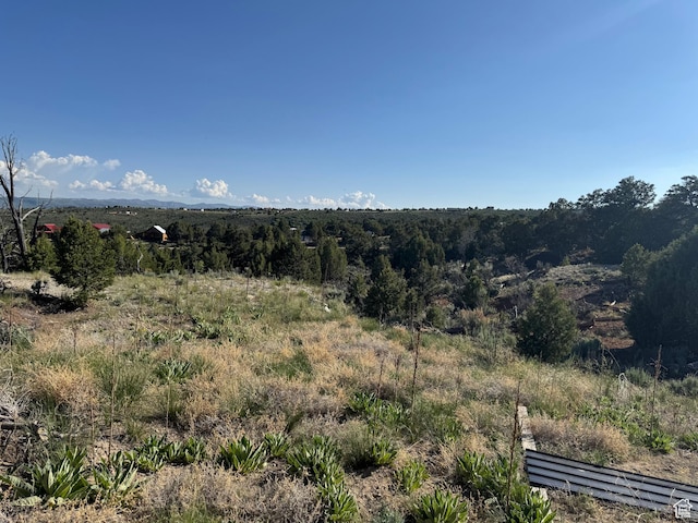 46205 W Little Elk Rd, Fruitland, UT 84027 - view of mountain background