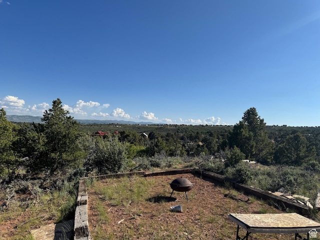 46205 W Little Elk Rd, Fruitland, UT 84027 - view of yard