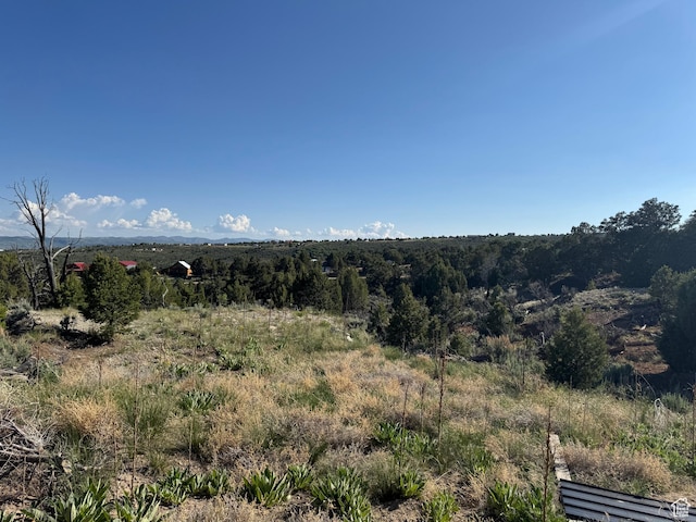 46205 W Little Elk Rd, Fruitland, UT 84027 - view of mountain backdrop