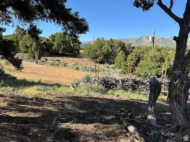 46205 W Little Elk Rd, Fruitland, UT 84027 - view of yard with a mountain view and a view of rural / pastoral area