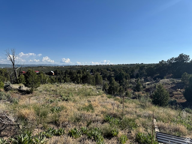 46205 W Little Elk Rd, Fruitland, UT 84027 - view of mountain background