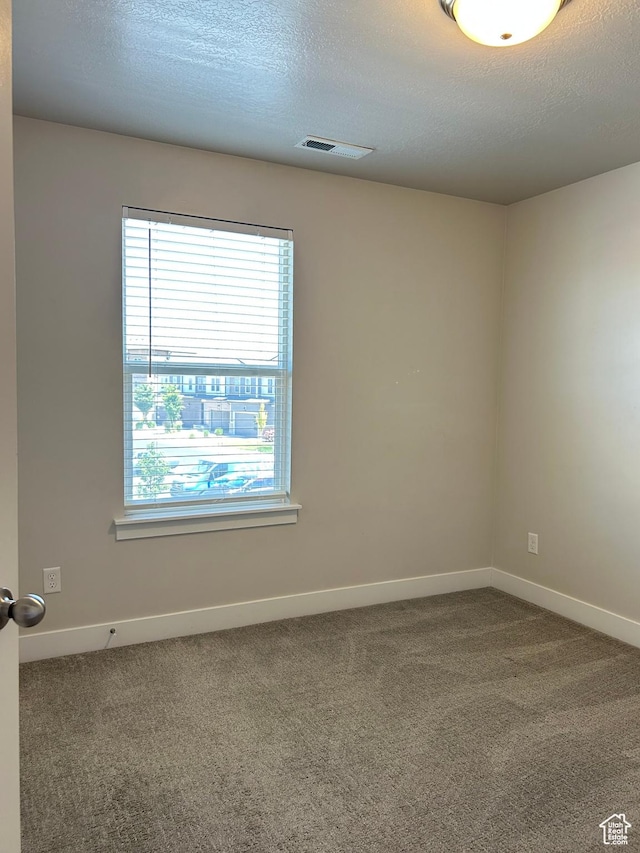 269 W 700 N, Vineyard, UT 84059 - spare room with carpet flooring and a textured ceiling