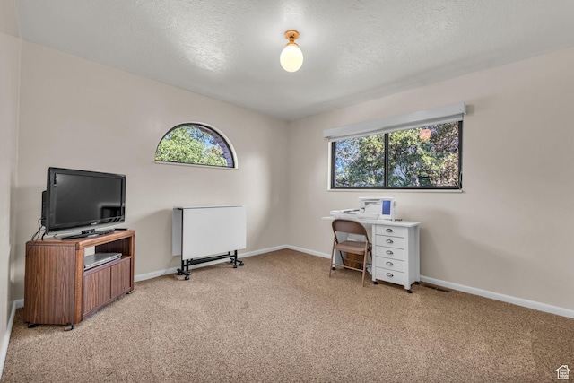 315 E Oak Ln, Kaysville, UT 84037 - office area featuring light carpet, healthy amount of natural light, and a textured ceiling