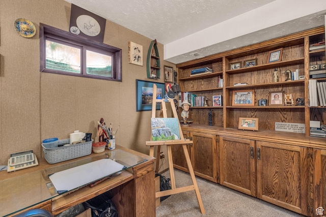 315 E Oak Ln, Kaysville, UT 84037 - office with light colored carpet and a textured ceiling
