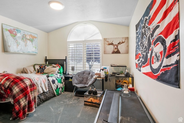 9353 S 4460 W, West Jordan, UT 84088 - carpeted bedroom with lofted ceiling